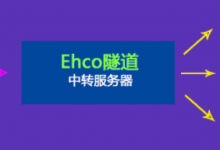 Ehco中转隧道简单使用教程,通过ehco搭建wss安全加密隧道-主机中国